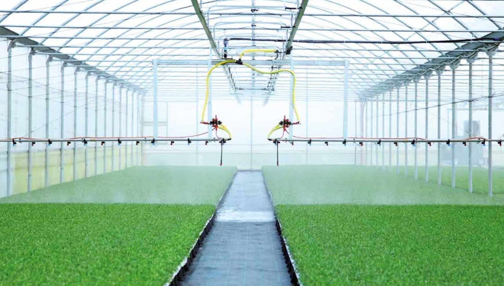 mosagreen|mosagreen|mosagreen|mosagreen